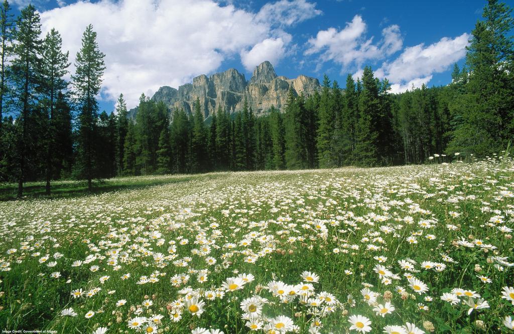 Hi Castle Mountain - Hostel Luaran gambar
